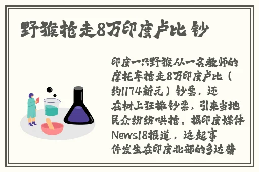 B站404禁止转播入口